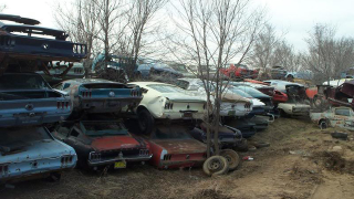 Illustration for article titled Is This The World's Largest Vintage Mustang Junkyard?